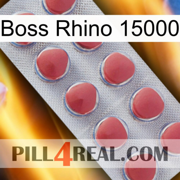 Boss Rhino 15000 18.jpg